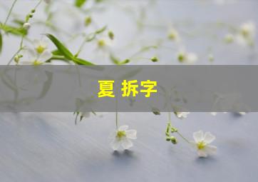 夏 拆字